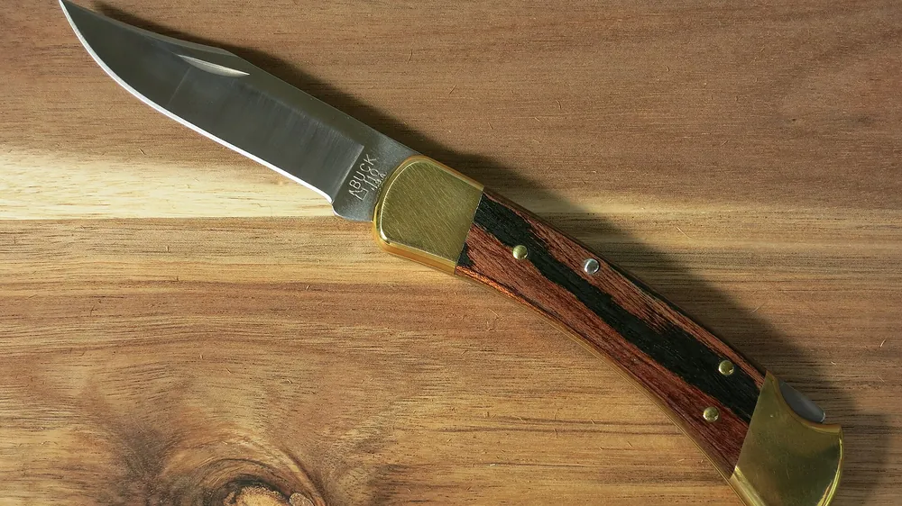 Buck 110 Folding Hunter folding knife with wood handle and brass bolsters on a wooden table